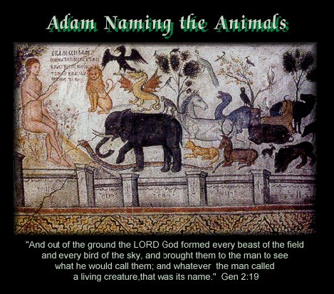 Adam naming the animals