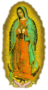 Our Lady of Guadalupe